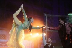 Wild Side Story 056 * 5184 x 3456 * (6.53MB)